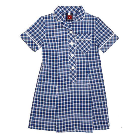 Blue and white plaid school dress with white trim and buttons.