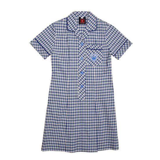 Blue and white plaid school dress with short sleeves, button-up front, and blue trim.