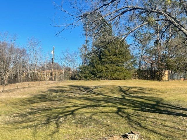 A tree casting a shadow on the grass in a field.