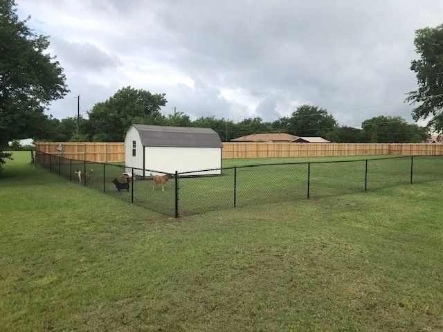 A fenced in yard with a shed in the background