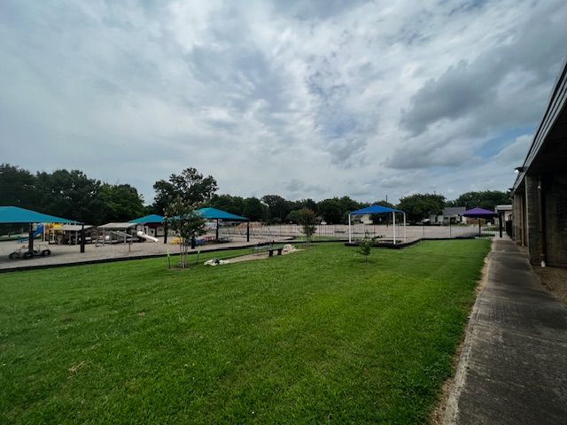 A large lawn with a lot of grass and umbrellas in a park.
