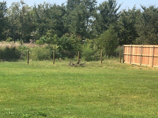 A large grassy field with a wooden fence and trees in the background.
