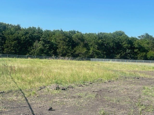 A large grassy field with trees in the background