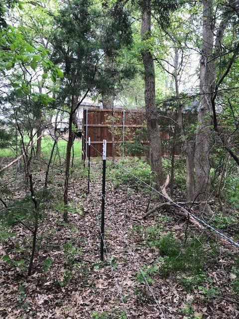 A fence is surrounded by trees and leaves in a forest.