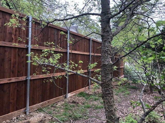 A wooden fence is surrounded by trees in a backyard.