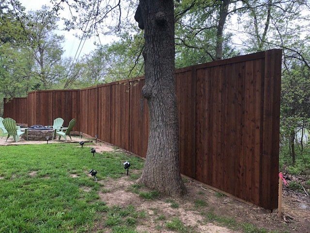 A wooden fence is surrounded by trees in a backyard.