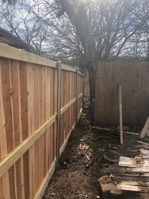 A wooden fence is being built in a backyard next to a tree.