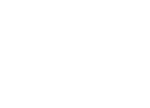 logo zip.ch