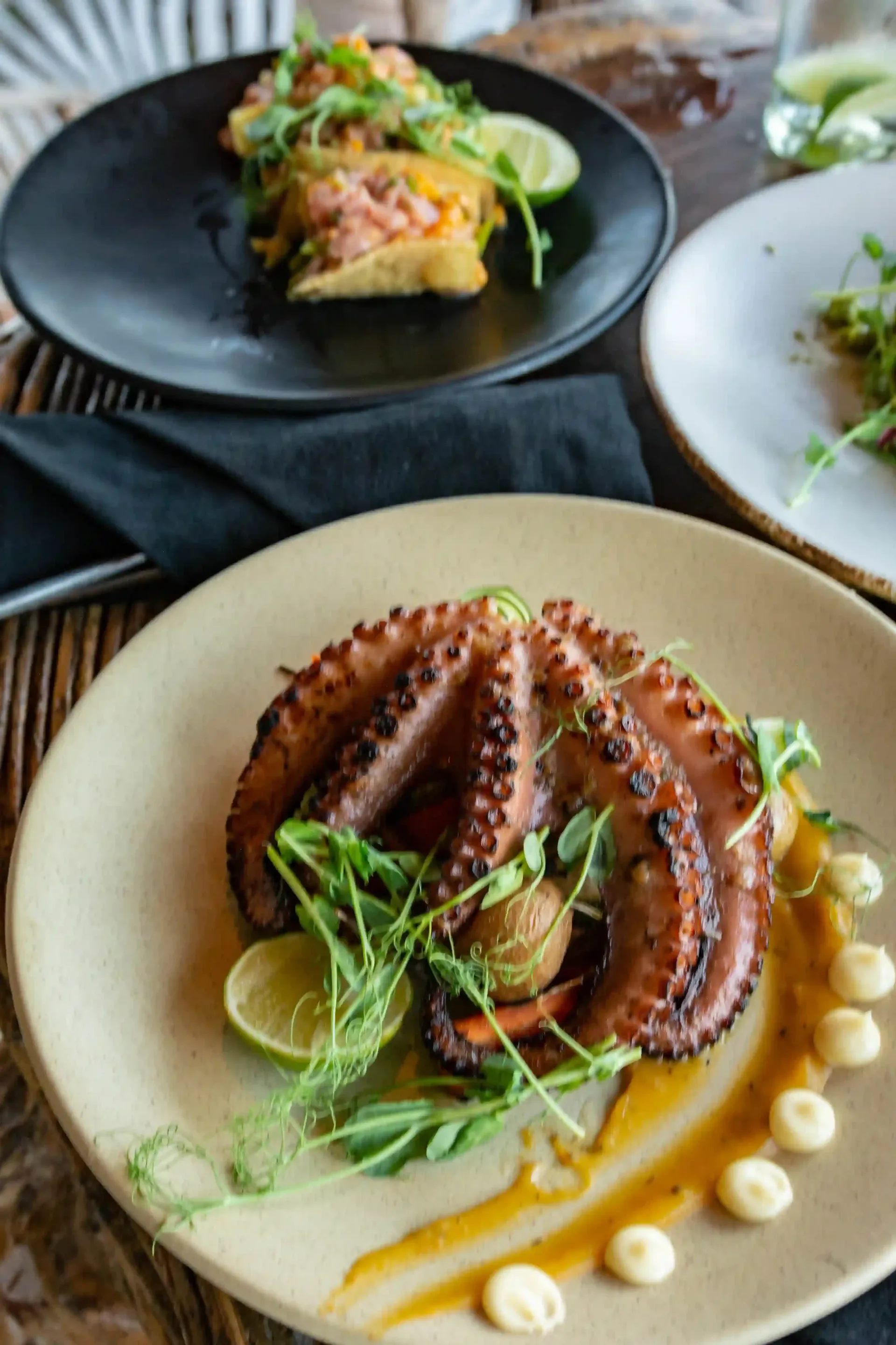 Experimenta una cena mágica en uno de los lugares más especiales de Tulum. Reserva