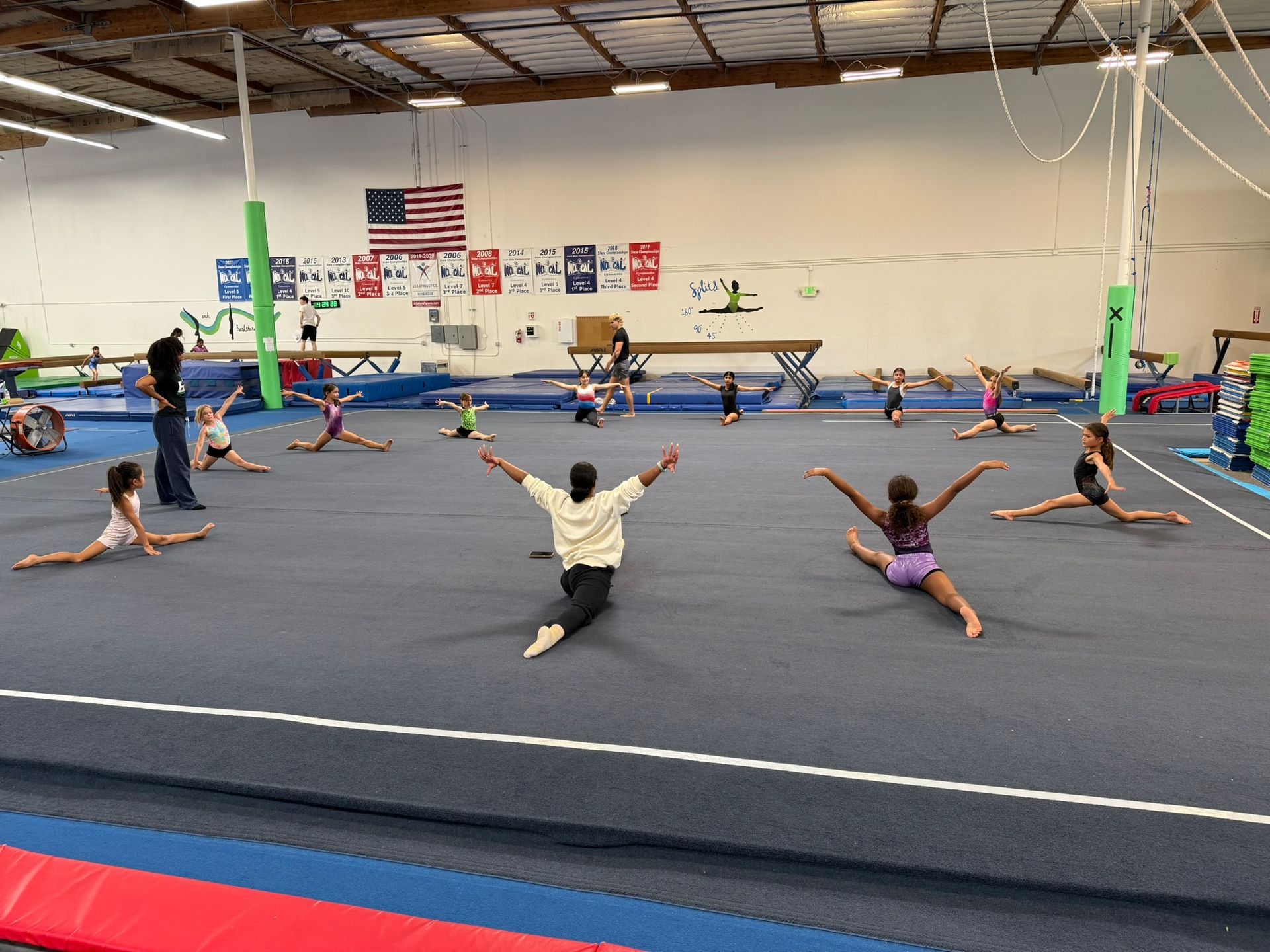 A group of children are doing gymnastics in a gym.