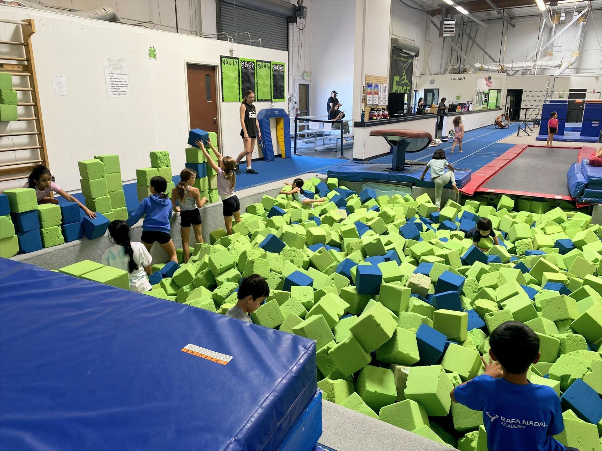 A group of children are playing in a pool of foam cubes in a gym.
