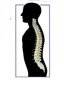 Therapist examining a patient's back. Hands on upper back and lower back. Clinic setting.