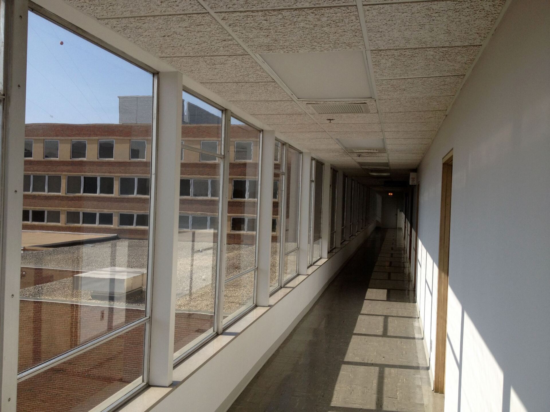 commercial window tinting near me