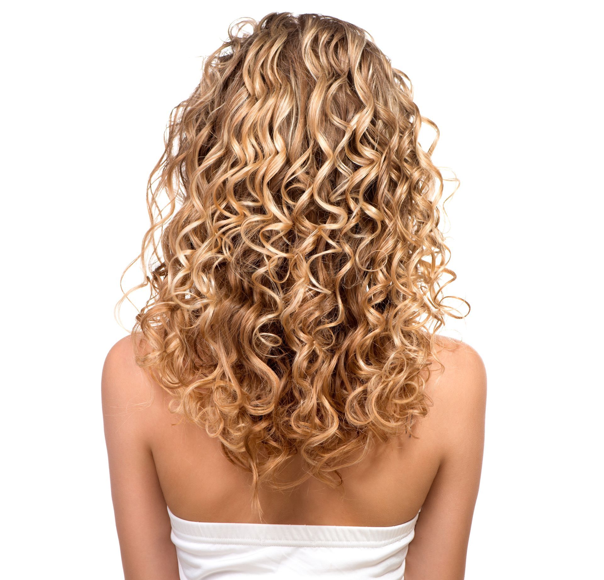 the back of a woman with long curly hair is shown .