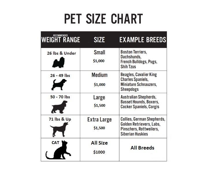 pet size chart