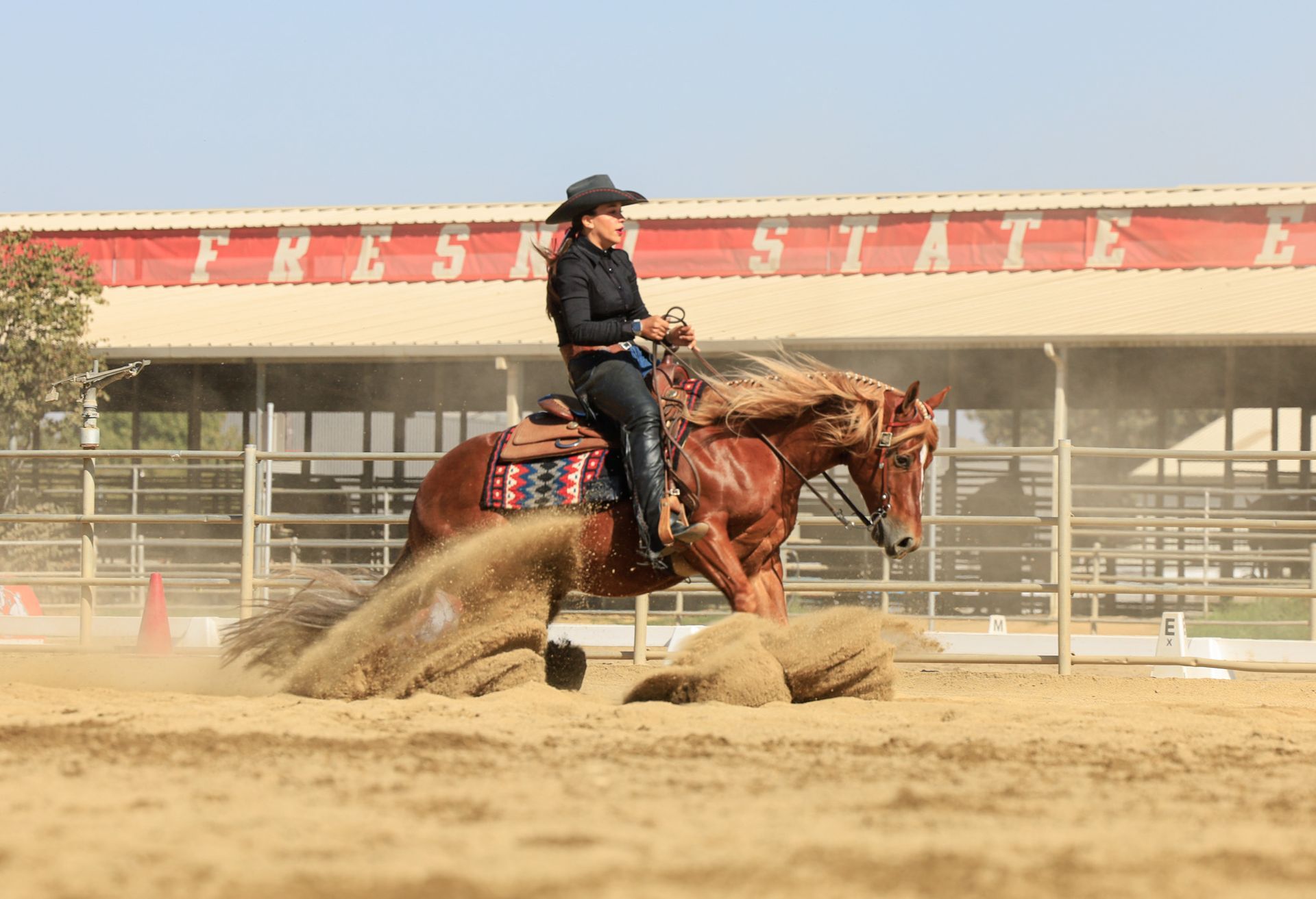 horse turning