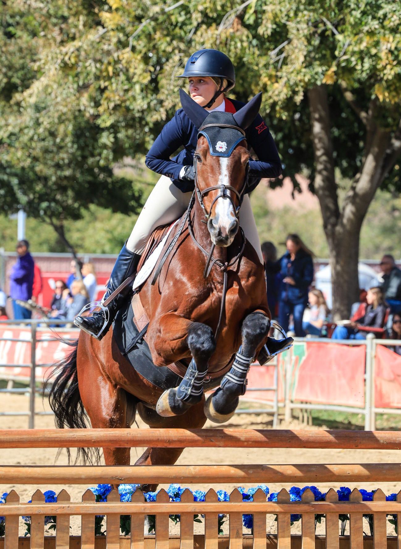 English horse riding