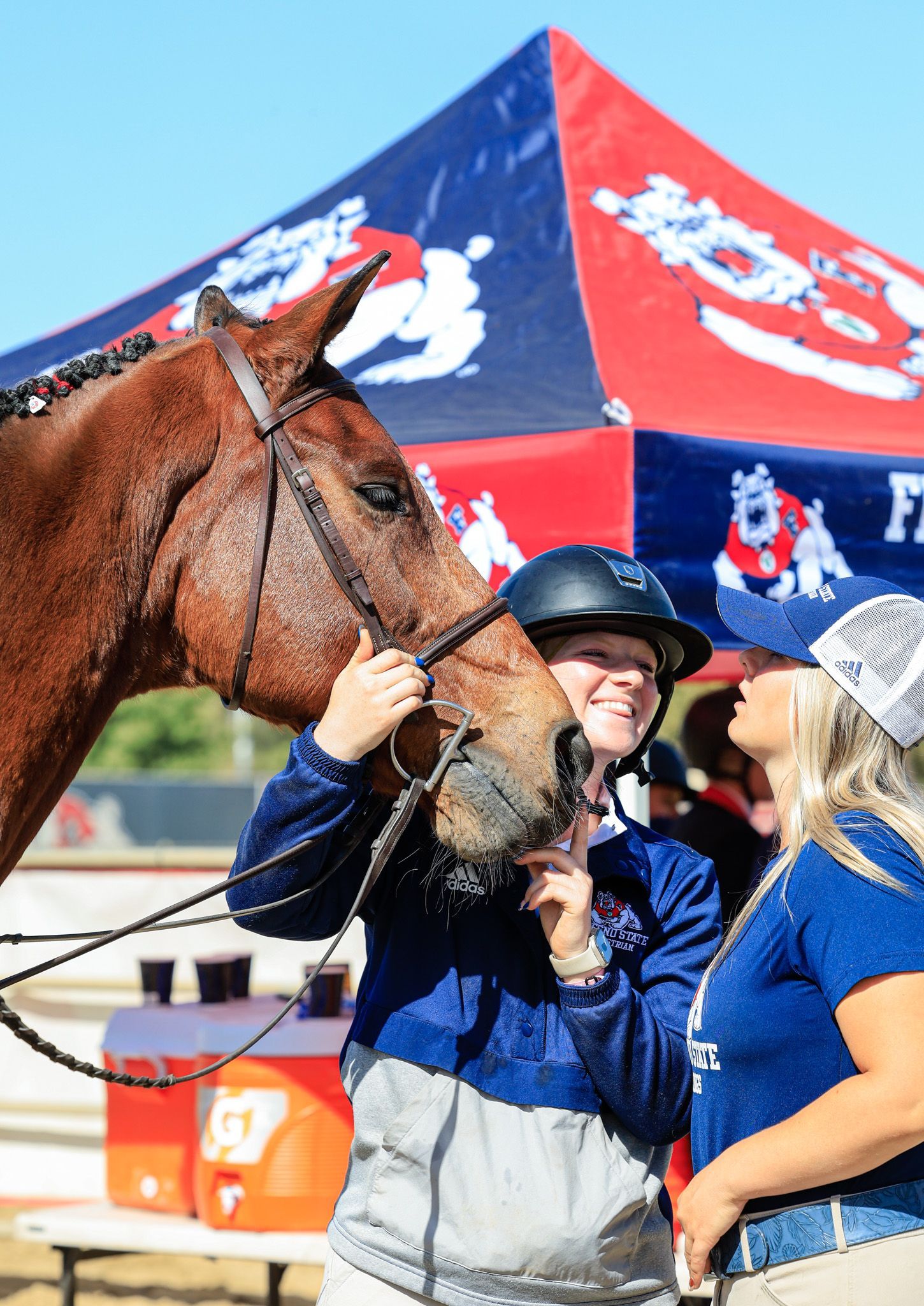 English rider on horse