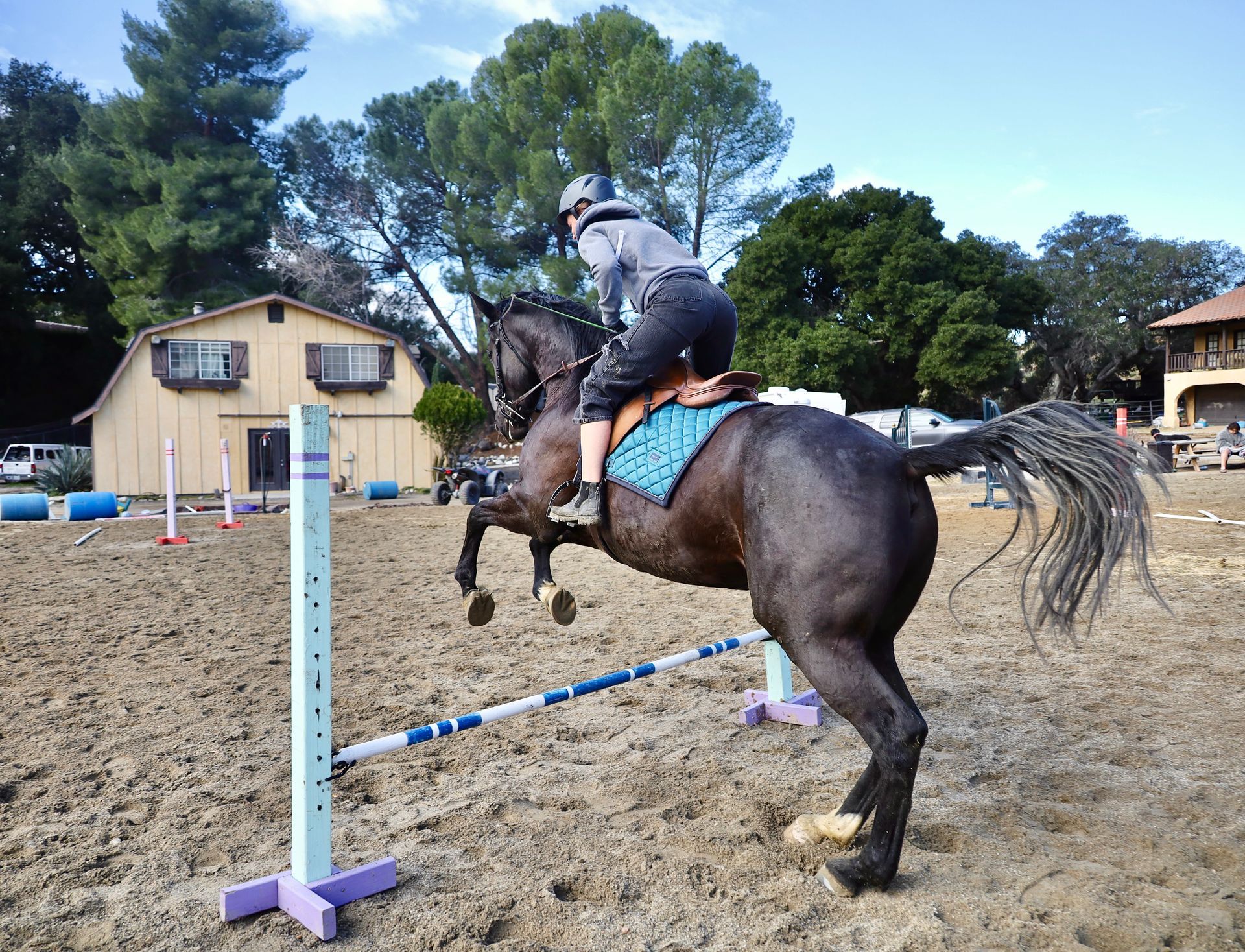 horse jumping small rail