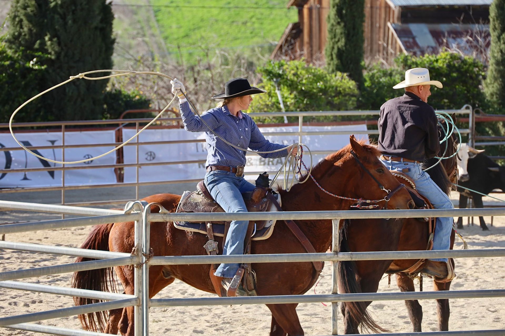 girl roping off horse