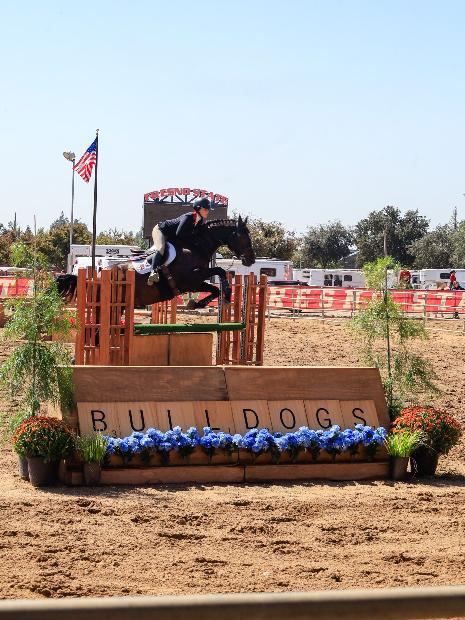 horse jumping near sign