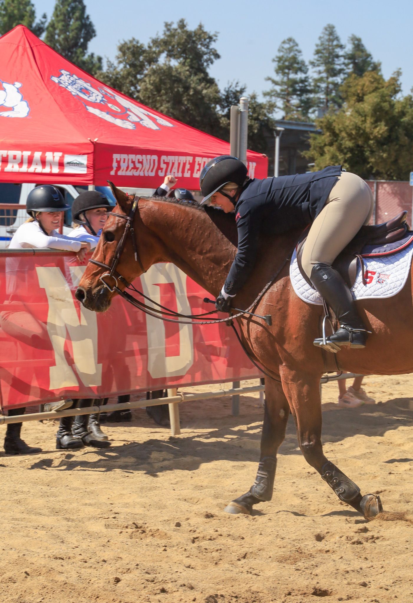 girl hugging one eye horse
