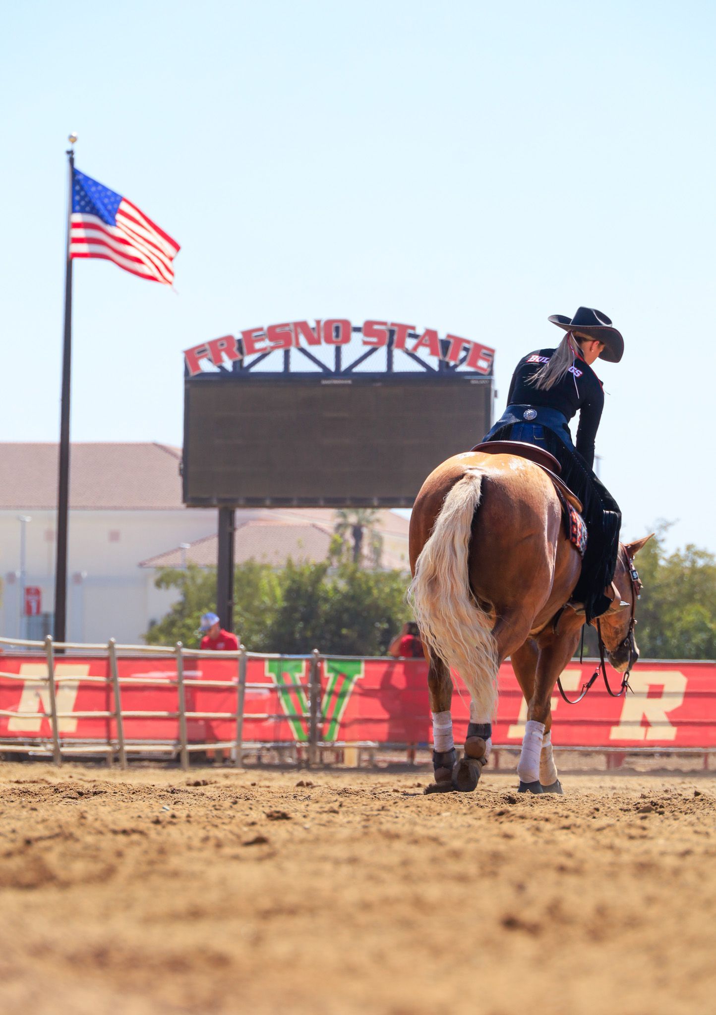 horse walking under sign