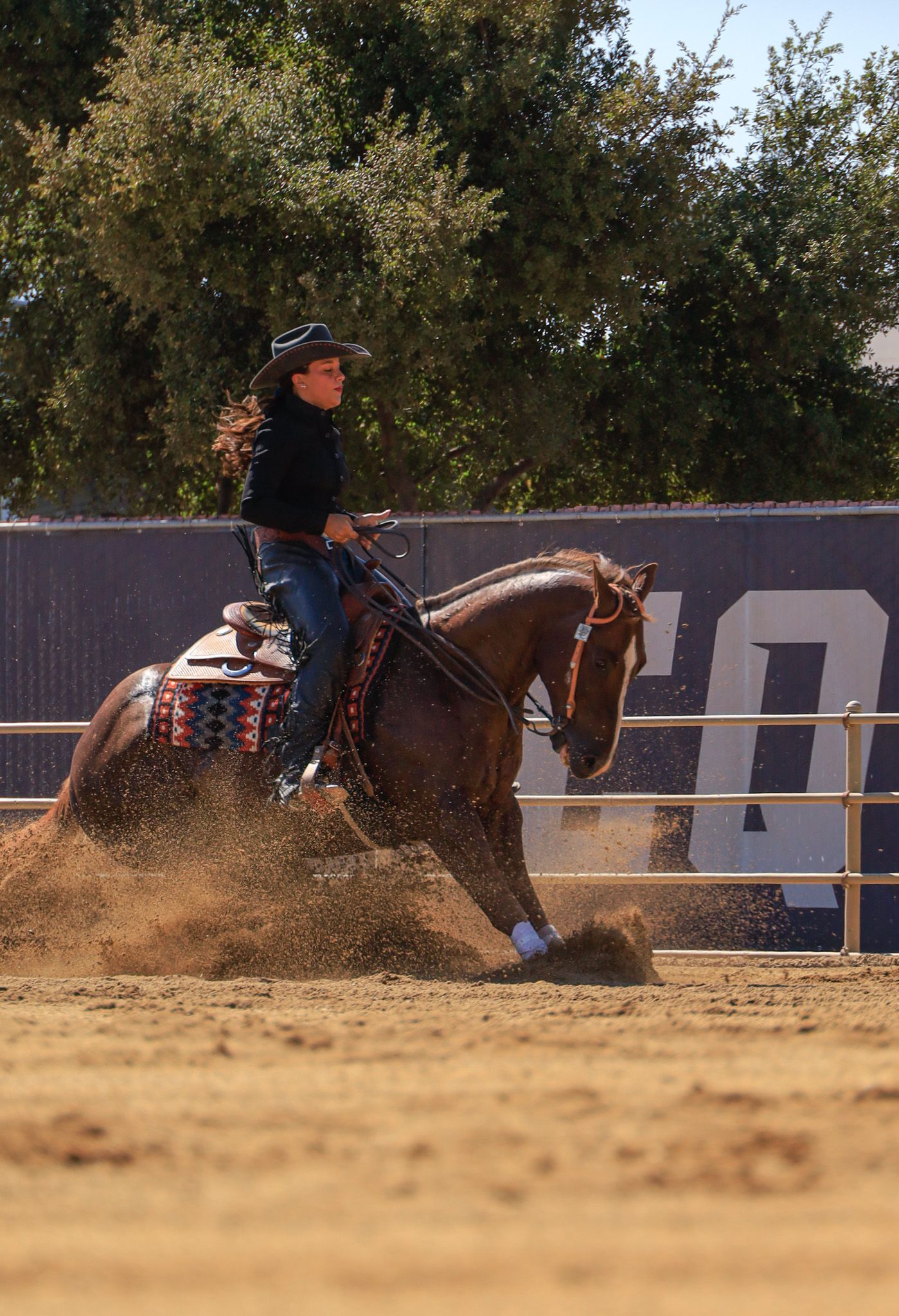 horse slidding in dirt