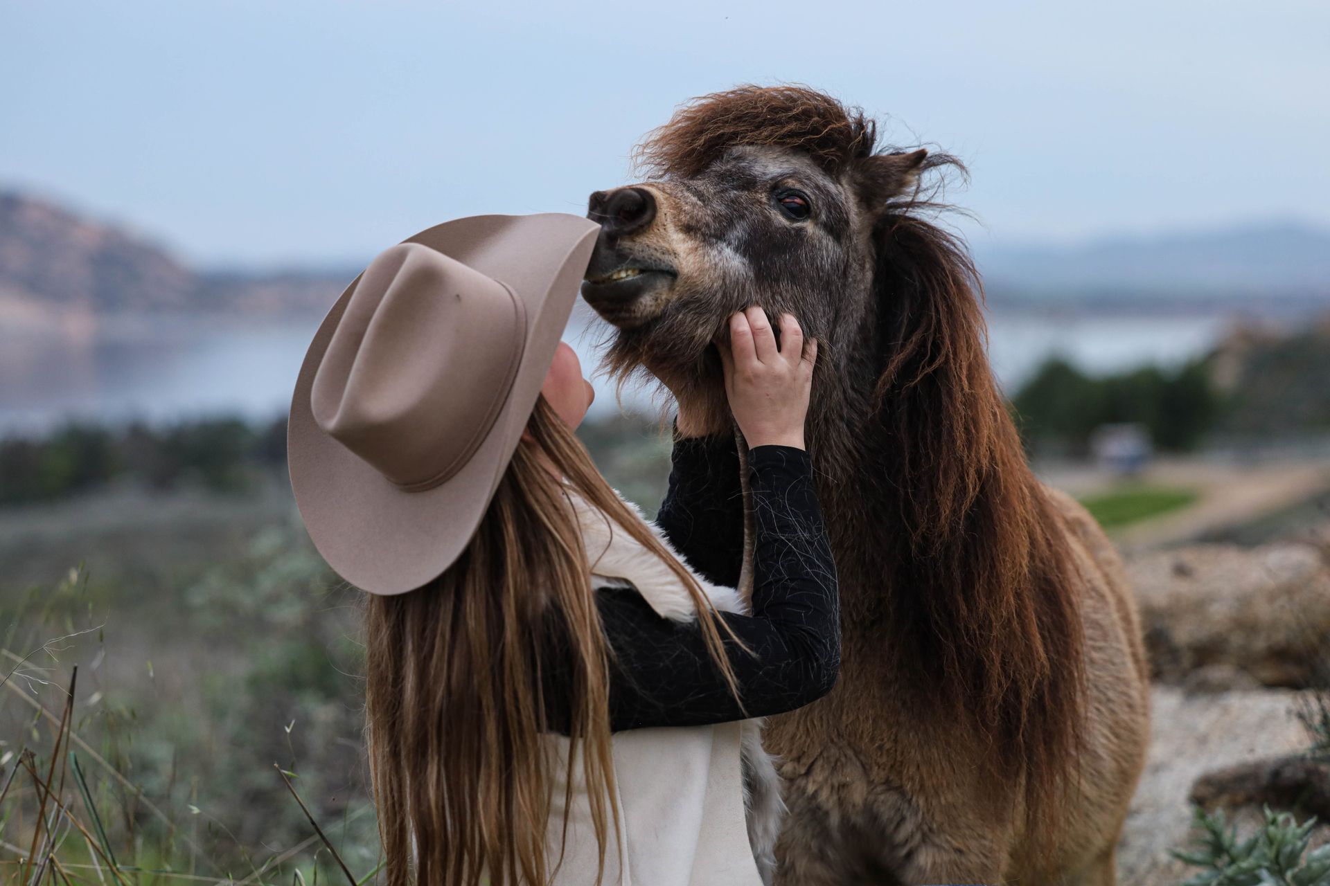 horse eating cowgirl hat