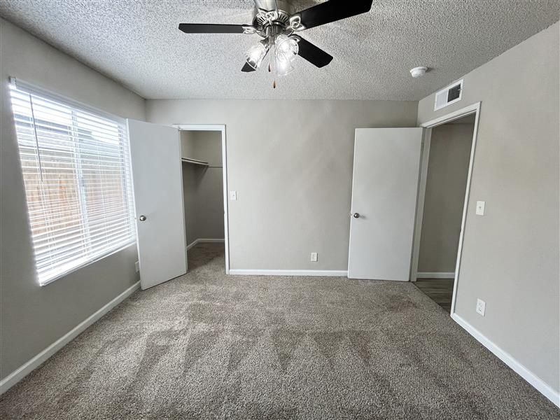 Empty bedroom with gray walls, carpet, two doors, and a window.