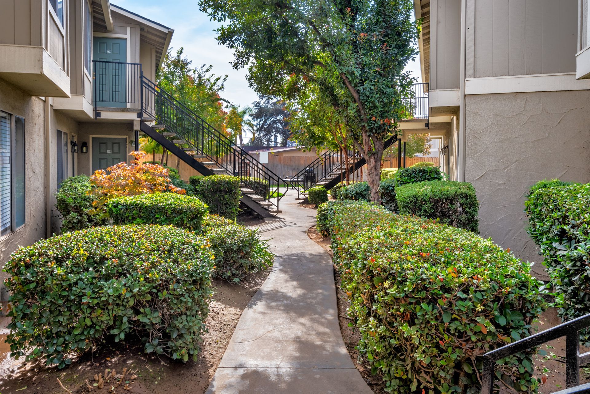 Pathway between apartments with bushes, steps, and trees.