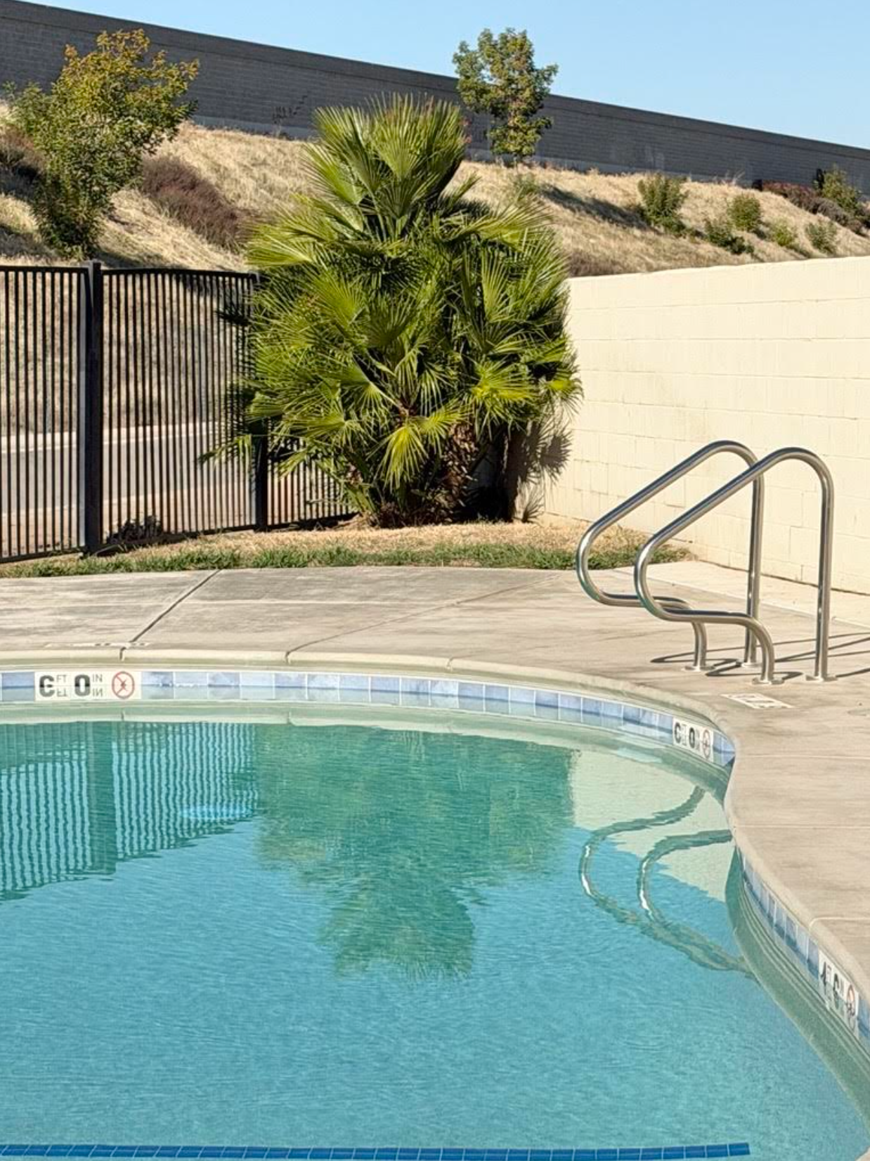Swimming pool with blue water, concrete edge, and metal handrails. A palm tree and hillside are in the background.