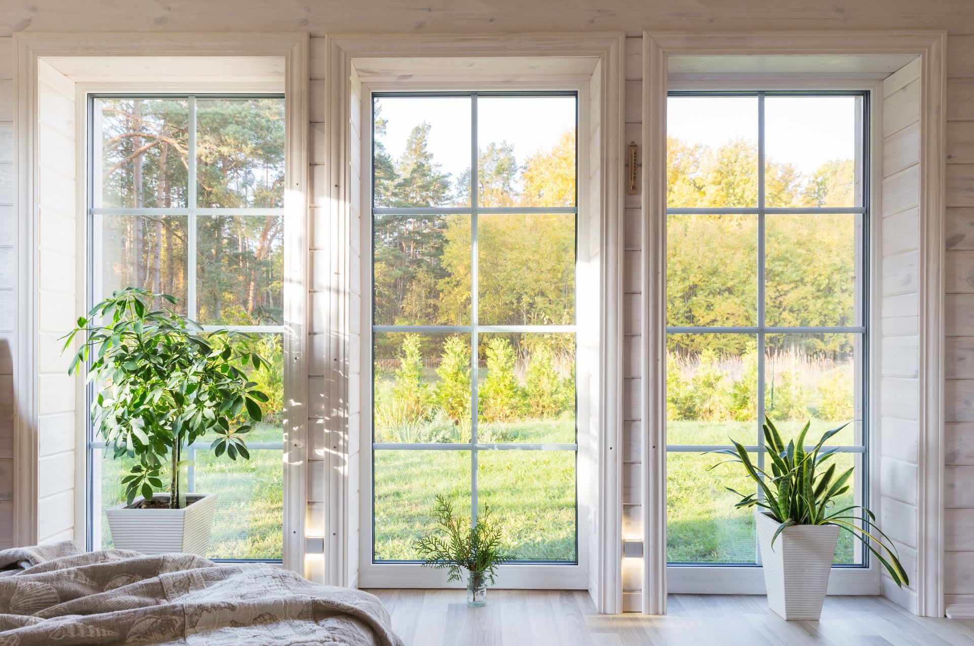 Replacement windows installed in a home interior, showing three white-framed picture windows with views of a green yard and trees