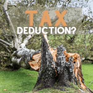 Is Storm Damage to Trees Tax-deductible?