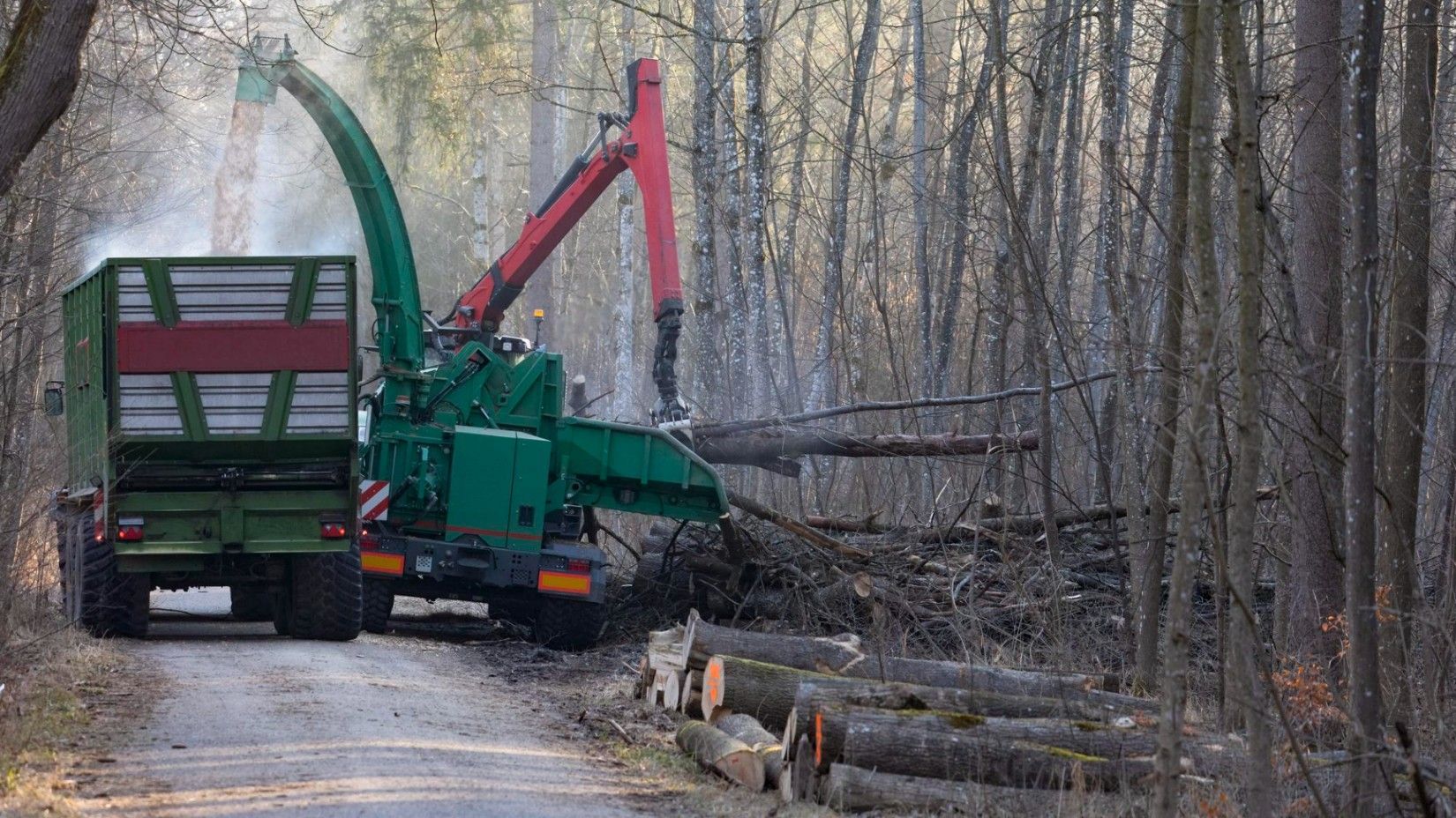 Tree Service Champions TX