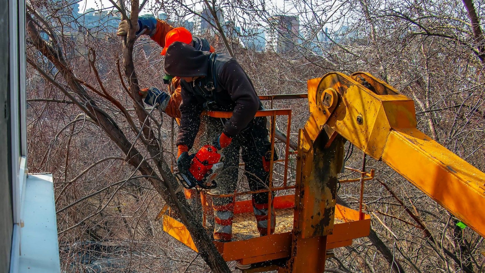 Tree Service Champions TX