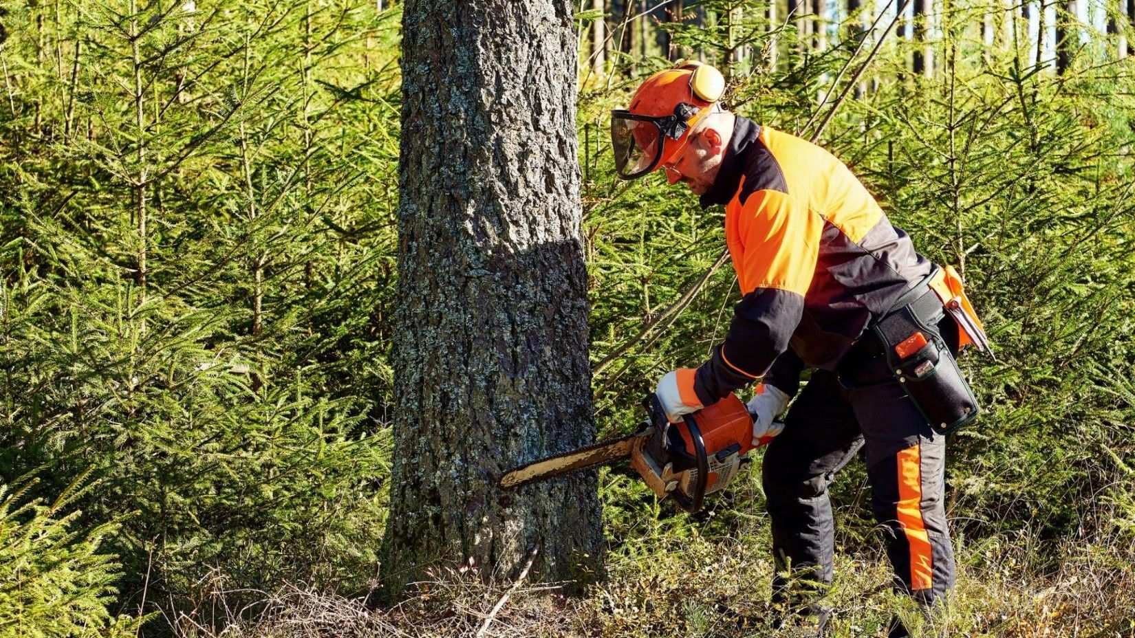 Tree Service Champions TX