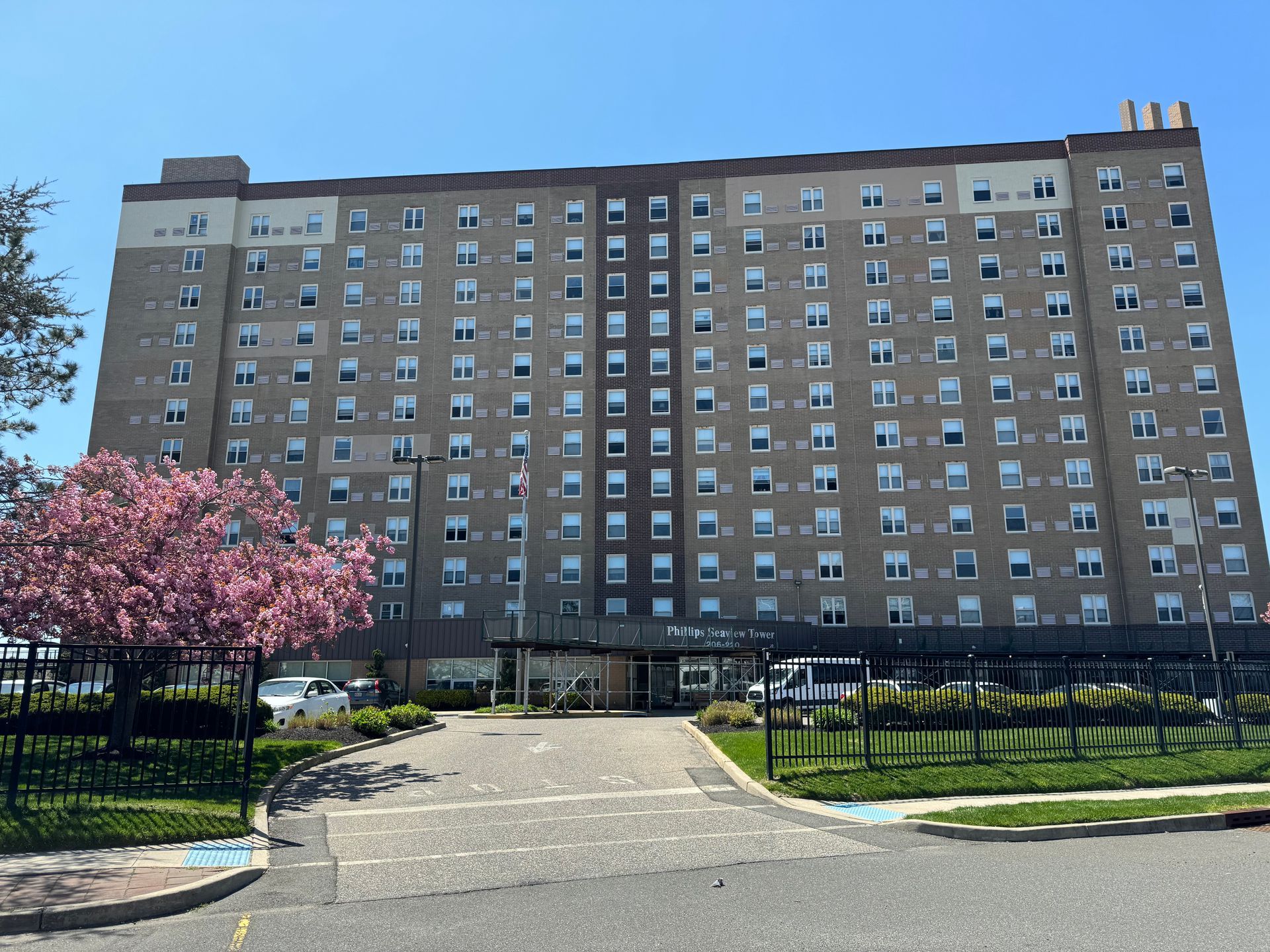 A large building with a lot of windows and a cherry blossom tree in front of it