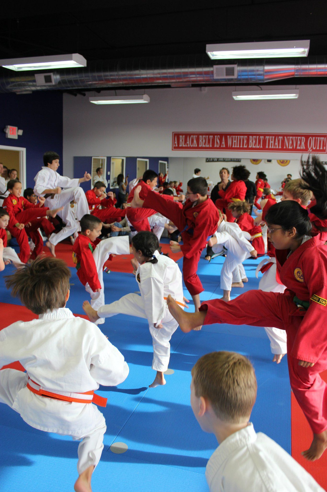 A group of children are practicing martial arts in a gym.