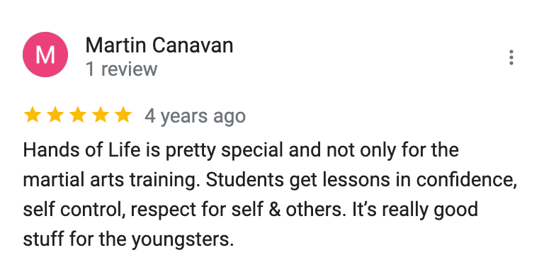 A review from martin canavan shows that hands of life is pretty special and not only for the martial arts training.