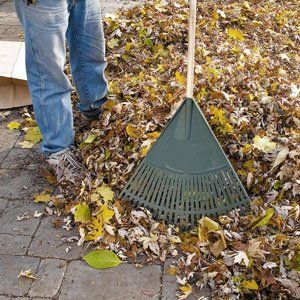 Garden waste removal