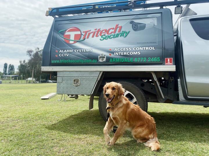 Security van with a dog — Security Systems in Armidale, NSW