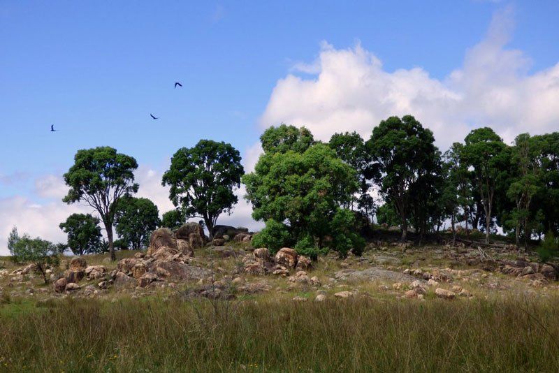 Rocky hill and gum trees — Security Systems in Guyra, NSW