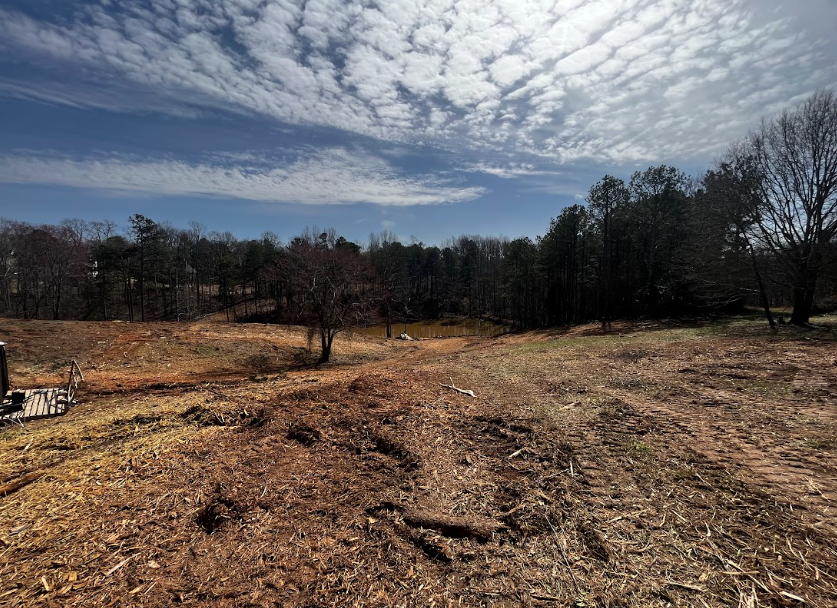 A field with trees in the background and a blue sky with clouds