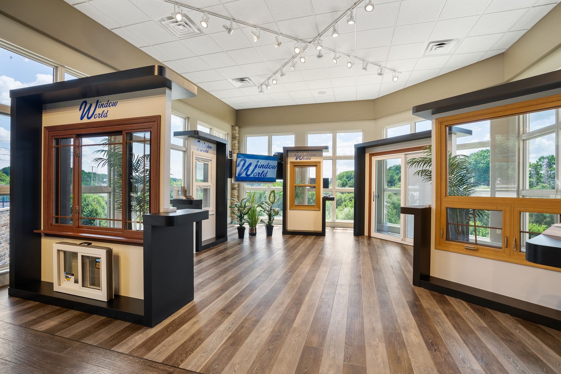 Window World Display 2