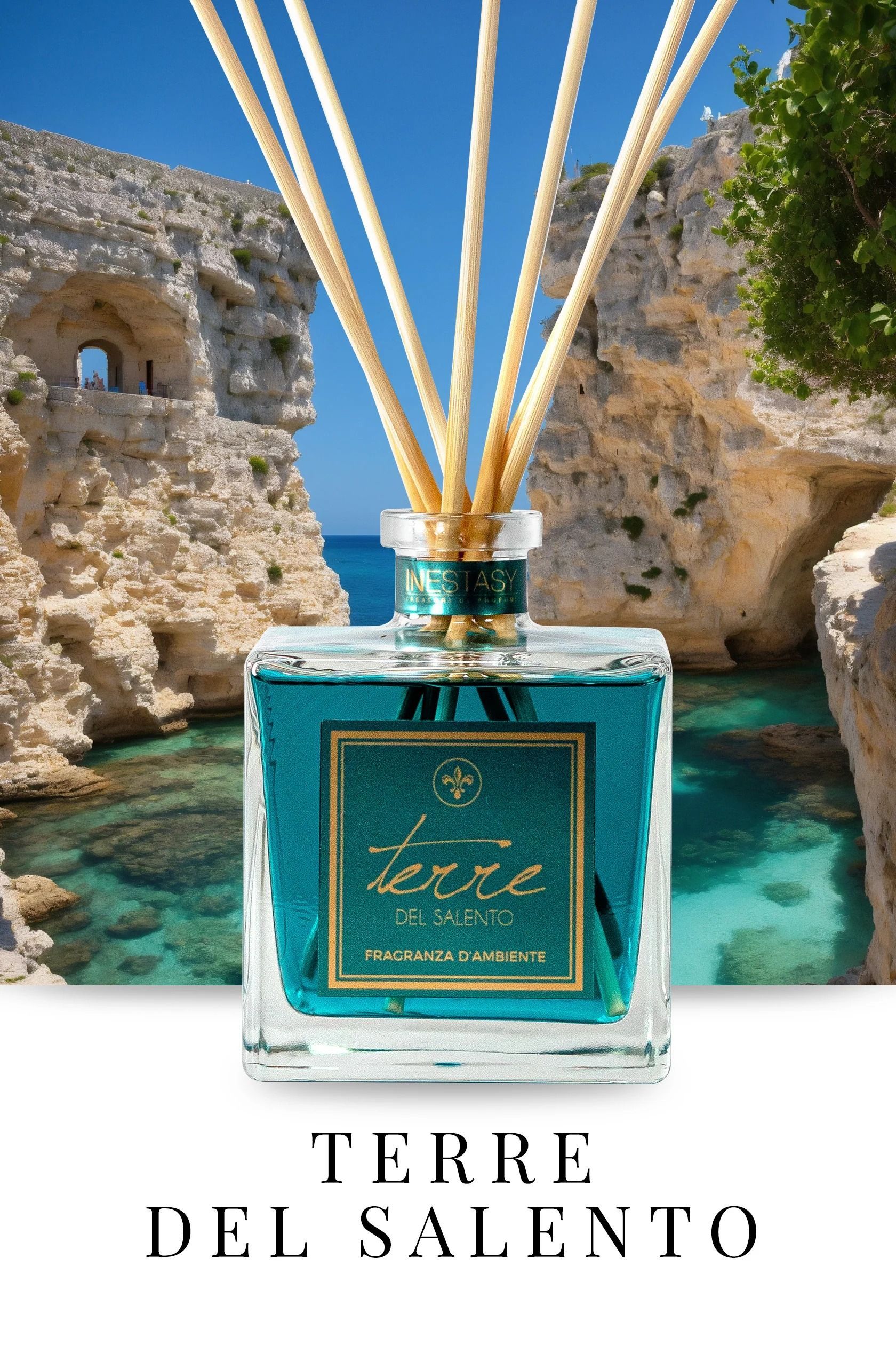 Una bottiglia di profumo terre del salento con dei bastoncini dentro