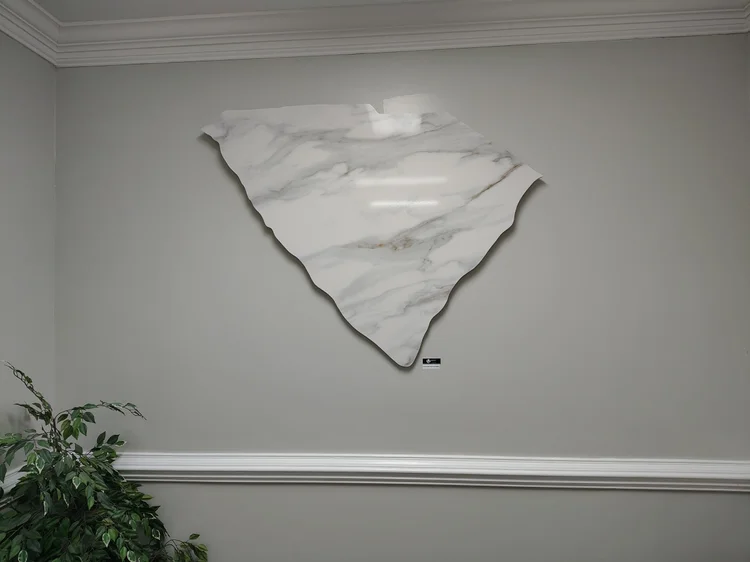 Marble-patterned South Carolina state outline mounted on a gray wall above white trim, with greenery in the lower left.