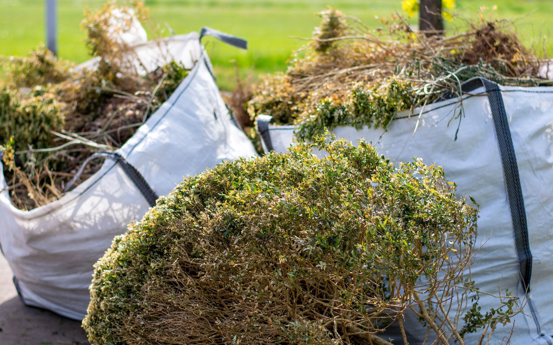A bunch of bags filled with branches and leaves are sitting on the ground.