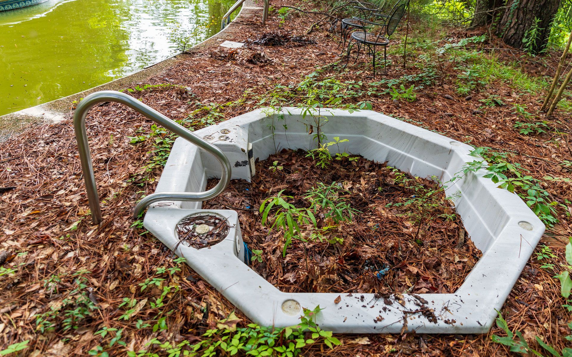 A hot tub is sitting in the middle of a forest next to a body of water.