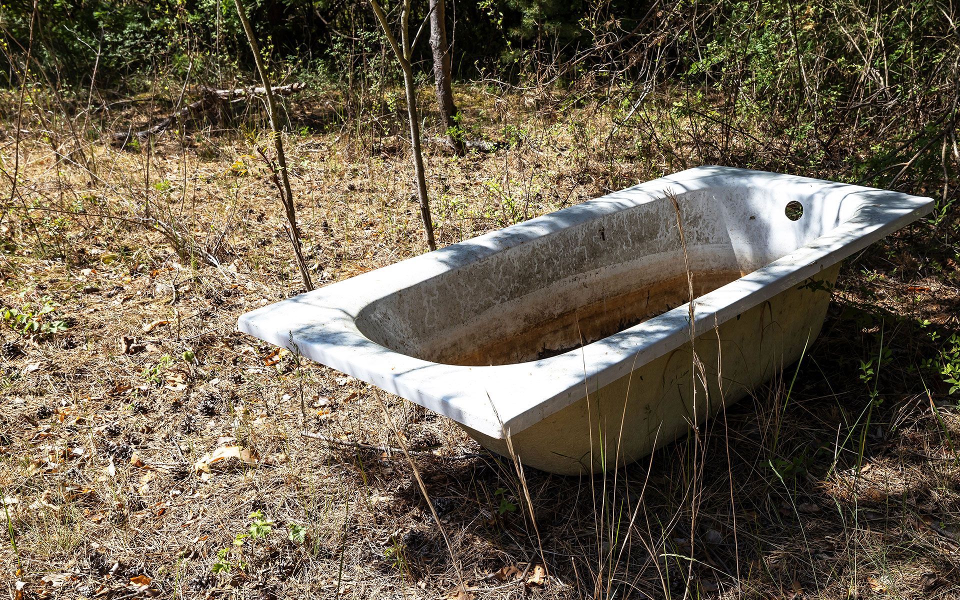 An old bathtub is sitting in the middle of a field.